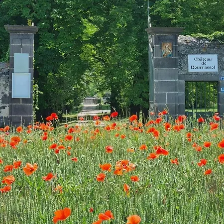 D'hotes Chateau De Bourrassol Pensionat 3*